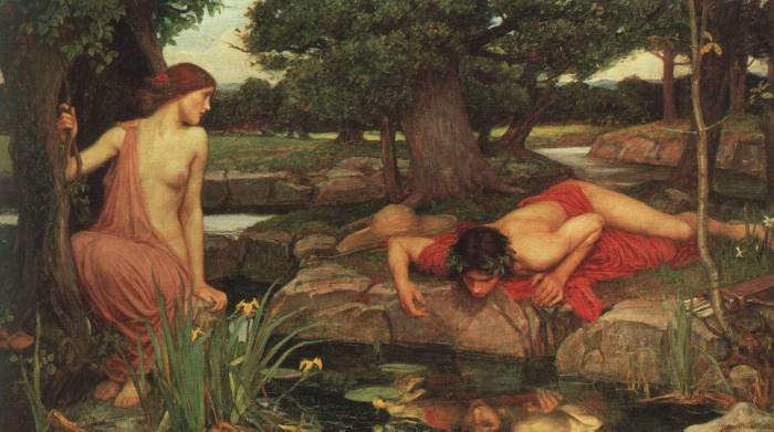 narcissus